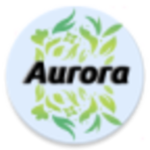 Aurora Park Finder APK