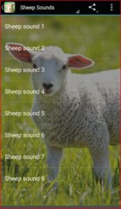 Sheep Sounds APK for Android Download 