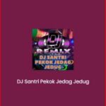 DJ Santri Pekok Jedag Jedug APK