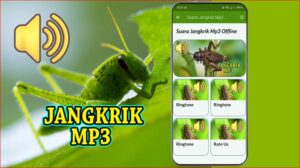 Suara Jangkrik Mp3 Offline APK for Android Download
