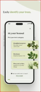 Bonsai Care App APK for Android Download
