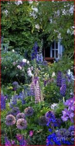 Garden Landscape APK for Android Download
