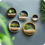 Wall Planters Ideas APK