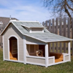 Outdoor Dog House APK